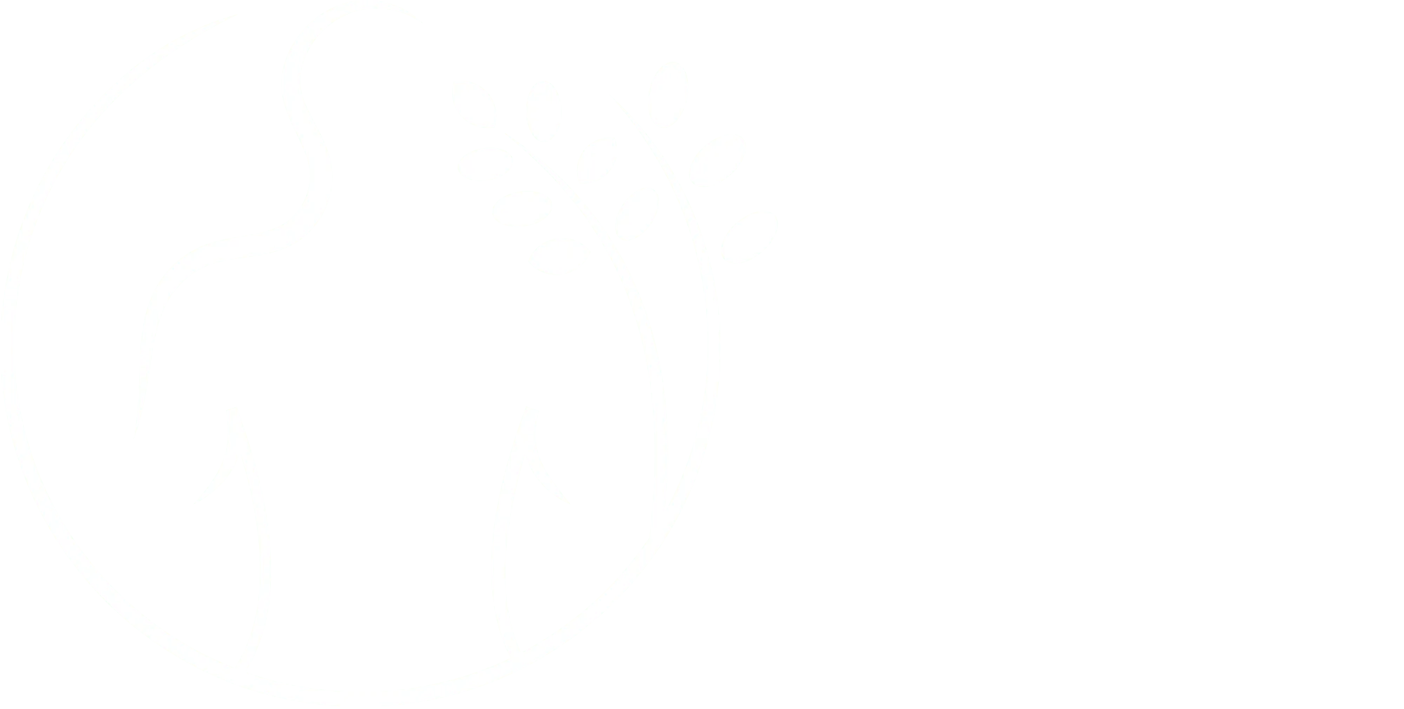 Gestion des émotions par une approche naturopathique globale